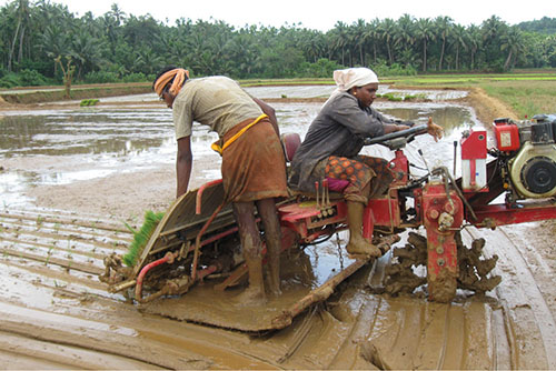 11.rice transplanter hydraulic control system