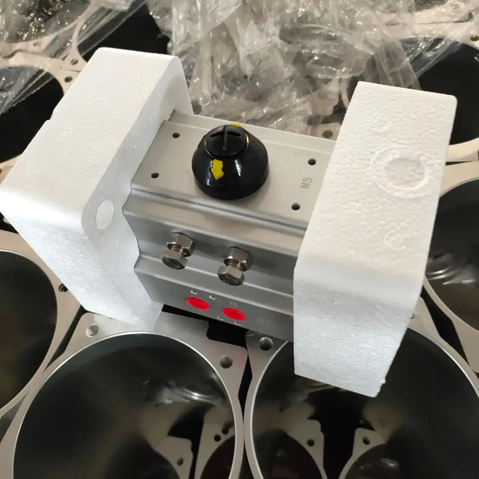 Pneumatic actuator